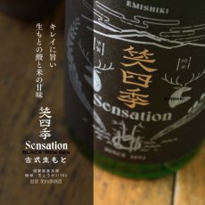 画像2: 笑四季 センセーション 黒ラベル  生酒 720ml（日本酒 笑四季酒造）（要冷蔵） (2)