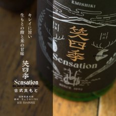 画像2: 笑四季 センセーション 黒ラベル 生酒 1800ml（要冷蔵） (2)