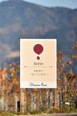 画像7: ドメーヌ・ボー・ルージュ（赤ワイン　日本　富山県　ドメーヌ・ボー　750ml） (7)