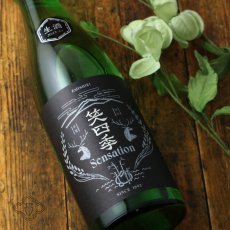 画像1: 笑四季 センセーション 黒ラベル  生酒 720ml（日本酒 笑四季酒造）（要冷蔵） (1)