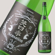 画像3: 笑四季 センセーション 黒ラベル  生酒 720ml（日本酒 笑四季酒造）（要冷蔵） (3)