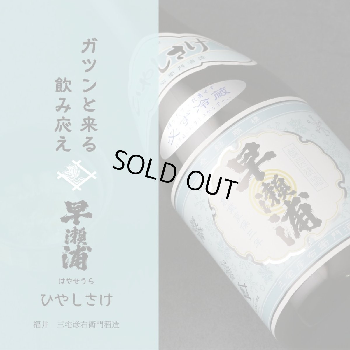 画像5: 早瀬浦 特別純米酒 ひやしさけ 生酒 720ml(要冷蔵) (5)