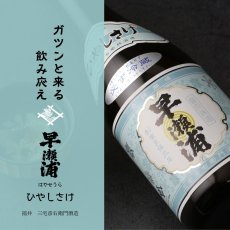 画像4: 早瀬浦 特別純米酒 ひやしさけ 生酒 1800ml（要冷蔵） (4)