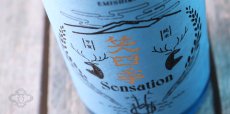 画像5: 笑四季 センセーション 青ラベル 生酒 1800ml（要冷蔵 日本酒 えみしき） (5)