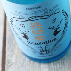 画像3: 笑四季 センセーション 青ラベル 生酒 1800ml（要冷蔵 日本酒 えみしき） (3)