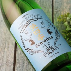 画像1: 笑四季 センセーション 青ラベル 生酒 1800ml（要冷蔵 日本酒 えみしき） (1)