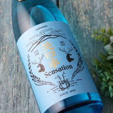 画像1: 笑四季 センセーション 青ラベル 生酒 720ml（要冷蔵 日本酒 えみしき） (1)