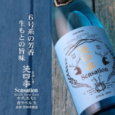 画像4: 笑四季 センセーション 青ラベル 生酒 1800ml（要冷蔵 日本酒 えみしき） (4)