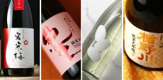 画像3: 次世代の旨い日本酒 1800ml 4本セット（送料無料） (3)