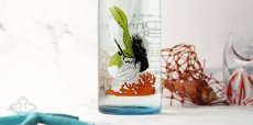 画像4: 大嶺3粒 夏のおとずれ 720ml（日本酒 大嶺酒造 Ohmine 3grain） (4)
