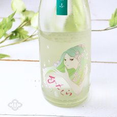 画像1: 阿櫻 ゆきのふ 純米吟醸 原酒 1800ml (1)