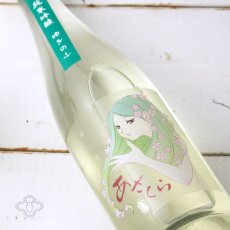 画像6: 阿櫻 ゆきのふ 純米吟醸 原酒 1800ml (6)