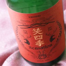 画像5: 笑四季 センセーション 朱（あか）ラベル 生酒 1800ml（日本酒 笑四季酒造）（要冷蔵） (5)