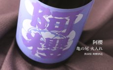 画像2: 阿櫻 亀の尾 無濾過原酒 火入れ 1800ml（日本酒 あざくら 阿櫻酒造） (2)