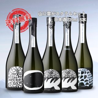 日本酒 純米吟醸 家飲みセット 720ml 6本セット（送料無料