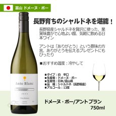 画像6: ドメーヌ・ボー アントカジュアルセット  (日本ワイン 750ml 2本 ブラン ルージュ) (6)