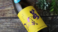 画像5: 若駒 五百万石80 無濾過生原酒 720ml （要冷蔵）（日本酒 若駒酒造 わかこま） (5)