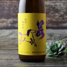 画像4: 若駒 五百万石80 無濾過生原酒 720ml （要冷蔵）（日本酒 若駒酒造 わかこま） (4)