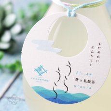画像4: 早瀬浦 特別純米酒 うらうら おりがらみ 300ml（要冷蔵） (4)