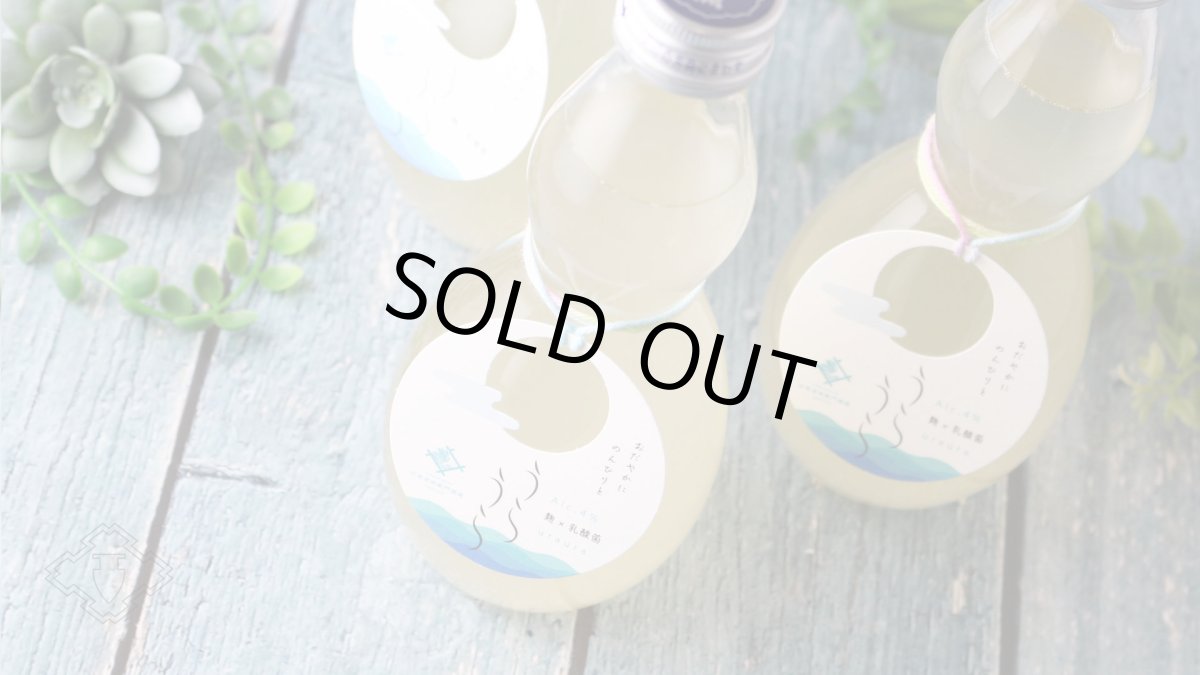 画像6: 早瀬浦 特別純米酒 うらうら おりがらみ 300ml（要冷蔵） (6)