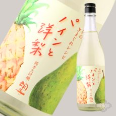 画像4: 望 純米大吟醸 杜氏の気まぐれレシピ 「パインと洋梨」720ml（日本酒 外池酒造店 ぼう） (4)