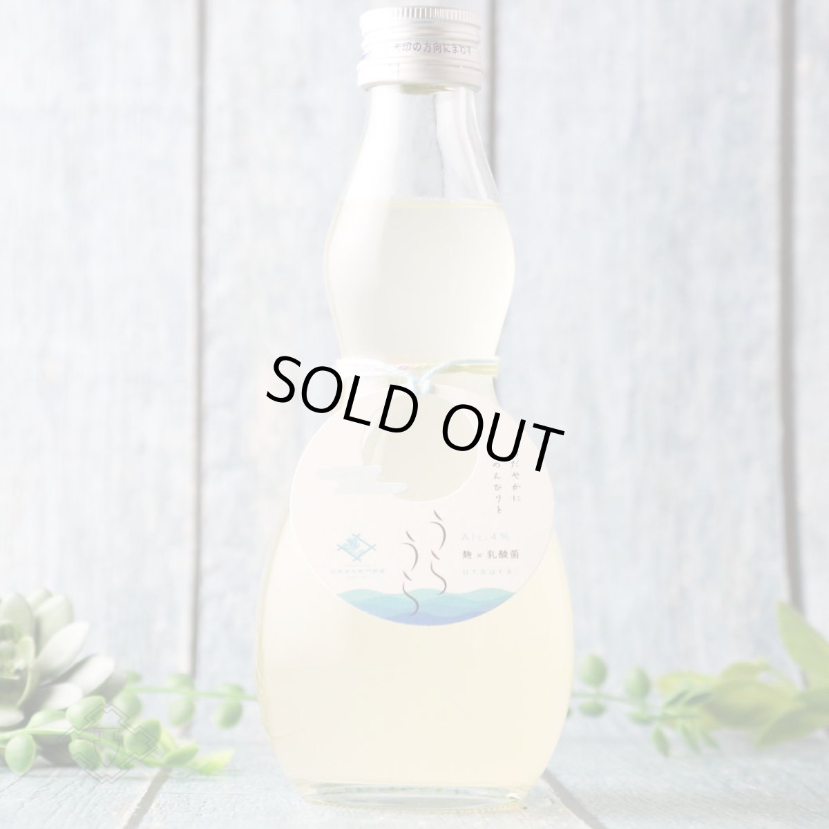 画像1: 早瀬浦 特別純米酒 うらうら おりがらみ 300ml（要冷蔵） (1)