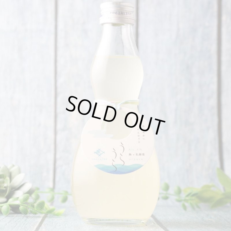 しらすさん専用 早瀬浦 特別純米酒 うらうら おりがらみ 300ml（要冷蔵） - 酒舗 井上屋