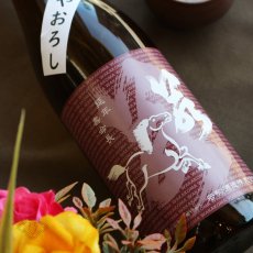 画像3: 若駒 雄町70 ひやおろし 1800ml（日本酒 若駒酒造 わかこま） (3)