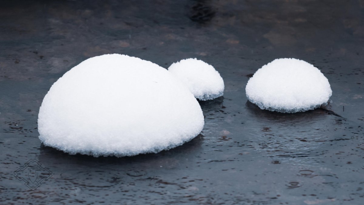 画像5: ゆきのまゆ 純米大吟醸 山田錦40 火入れ 720ml（日本酒 苗場酒造 旧醸す森） (5)