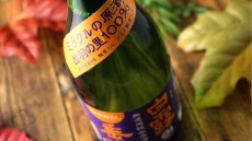 画像4: 白露垂珠 無濾過純米 ひやおろし ミラクル原酒 720ml（日本酒 竹の露酒造場 はくろすいしゅ） (4)