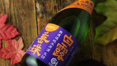画像5: 白露垂珠 無濾過純米 ひやおろし ミラクル原酒 720ml（日本酒 竹の露酒造場 はくろすいしゅ） (5)
