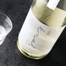 画像2: kosijinokoubai knot（ノット） 720ml（日本酒 頚城酒造 越路乃紅梅 こしじのこうばい） (2)