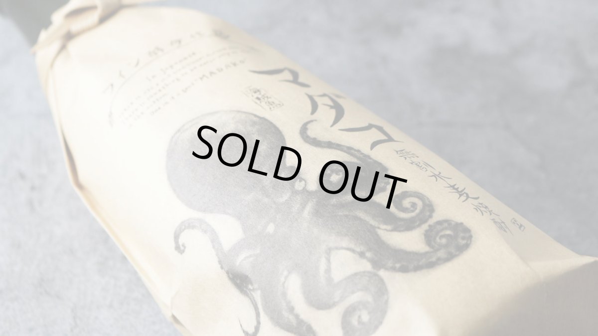 画像6: まだこ 麦 1800ml（麦焼酎 酒蔵大手門） (6)