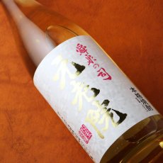 画像4: 元老院 1800ml（麦 芋焼酎 白玉醸造） (4)