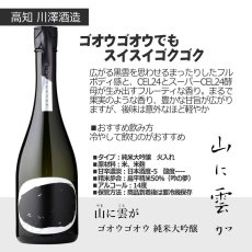 画像6: 山に雲がセット  (日本酒 720ml 2本 純米大吟醸 ゴオウゴオウ ザアアザアア 川澤酒造) (6)