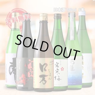 日本酒 純米吟醸 家飲みセット 720ml 6本セット（送料無料 飲み比べ ロ