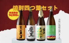 画像2: 焼酎四つ葉セット（芋焼酎 1800ml 4本 期間限定） (2)