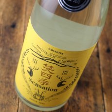 画像2: 笑四季 センセーション 金ラベル生原酒 1800ml（要冷蔵） (2)