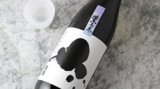 画像4: 燦然 薫る冬 純米 朝日55 720ml（日本酒 菊池酒造さんぜん） (4)