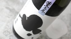 画像5: 燦然 薫る冬 純米 朝日55 720ml（日本酒 菊池酒造さんぜん） (5)