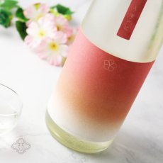 画像3: 越路乃紅梅 うすべに 無濾過生原酒 720ml （要冷蔵）（日本酒 頚城酒造 こしじのこうばい） (3)