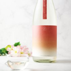 画像1: 越路乃紅梅 うすべに 無濾過生原酒 720ml （要冷蔵）（日本酒 頚城酒造 こしじのこうばい） (1)