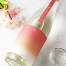画像2: 越路乃紅梅 うすべに 無濾過生原酒 720ml （要冷蔵）（日本酒 頚城酒造 こしじのこうばい） (2)