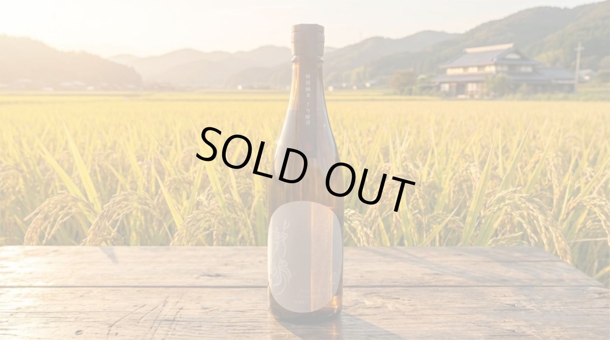 画像4: 敷嶋 知多山田 特別純米 7号酵母 720ml（日本酒 伊東 しきしま） (4)
