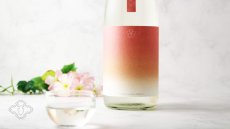 画像4: 越路乃紅梅 うすべに 無濾過生原酒 720ml （要冷蔵）（日本酒 頚城酒造 こしじのこうばい） (4)