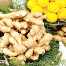 画像4: 土佐山 ジンジャーエール 辛口 M 200ml （ノンアルコール飲料/夢産地とさやま） (4)