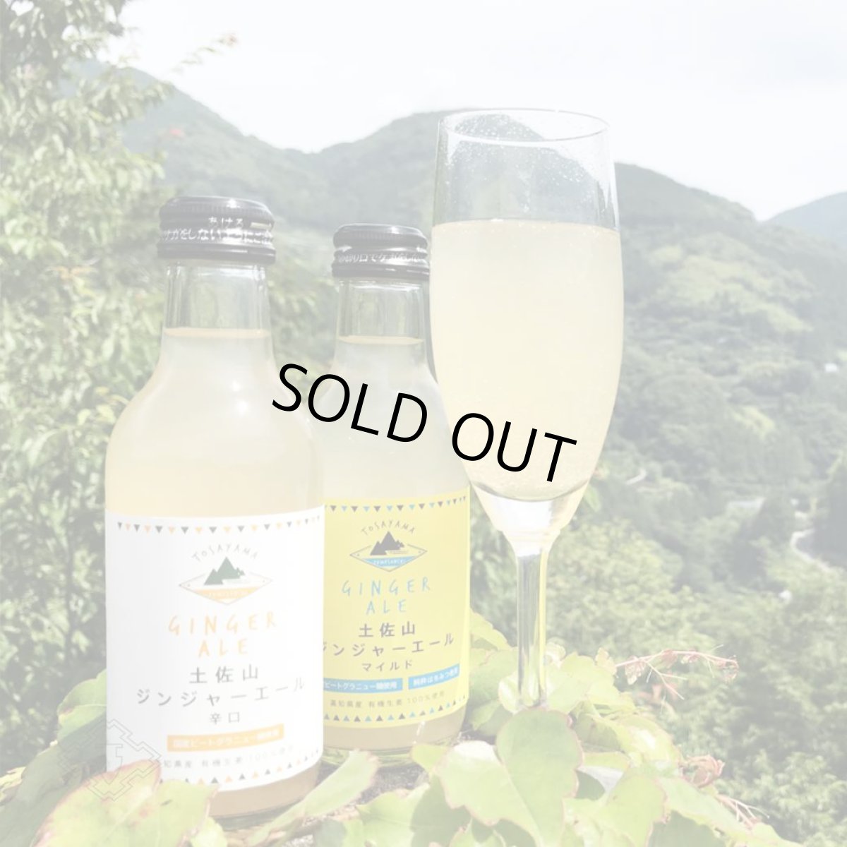 画像3: 土佐山 ジンジャーエール 辛口 M 200ml （ノンアルコール飲料/夢産地とさやま） (3)