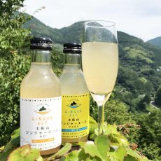 画像3: 土佐山 ジンジャーエール 辛口 M 200ml （ノンアルコール飲料/夢産地とさやま） (3)