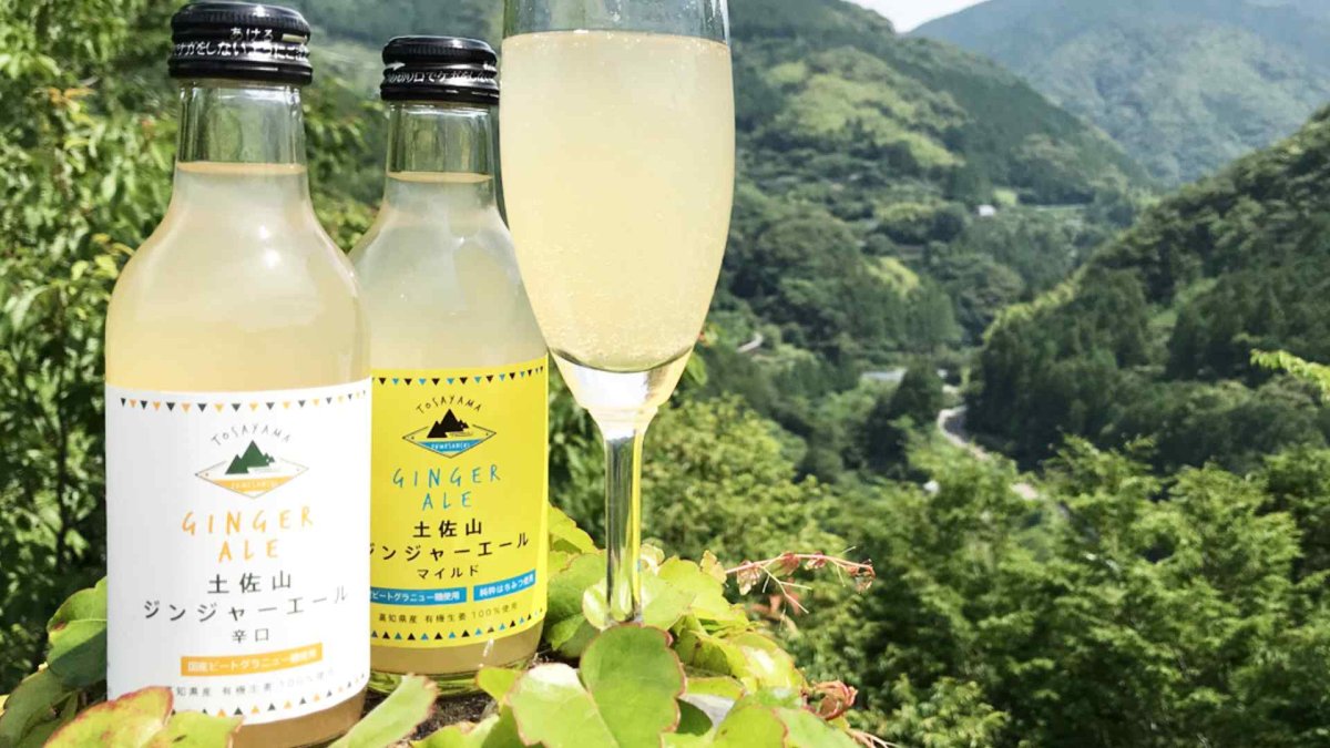 画像2: 土佐山 ジンジャーエール 辛口 M 200ml （ノンアルコール飲料/夢産地とさやま） (2)