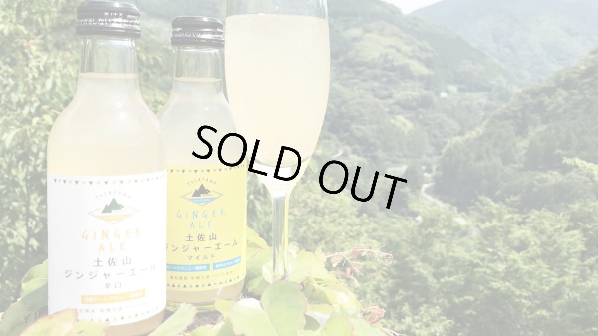 画像2: 土佐山 ジンジャーエール 辛口 M 200ml （ノンアルコール飲料/夢産地とさやま） (2)